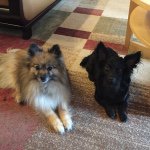 Debra Boyd Hembree - @debraboydhembree - Instagram
