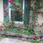 Debra Hendricks - @debra.hendricks.507 - Instagram