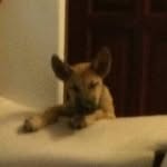Debra Hendricks - @aarondislikesfluffyunicorns - Instagram