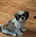 Debra Henke - Facebook