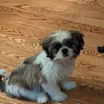 Debra Henke - @debra_jean53 - Instagram