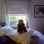 Debbie Hennen - @debra.hennen.55 - Instagram
