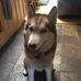 Deb Henriksen - Facebook