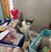 Debra Henson - Facebook