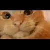Debra Herbert - @debraherbert433 - TikTok