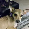 Debra Herbert - @ddherbert - TikTok