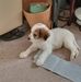 Debra Herod - Facebook