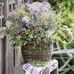 Deb Herrick - Facebook