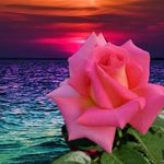 Debra Herrick - @herrick9536 - Instagram
