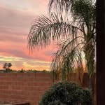 Debra Herrington - @dherr0401 - Instagram