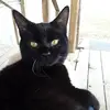 Debra Herrington - @debra.herrington - TikTok