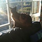 Debra Herrmann - @debraherrmann - Instagram