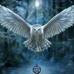 Debra Herrmann - @debra.herrmann60 - Instagram