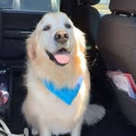 Debra Herrmann Stanford - @debrastanford48 - Instagram