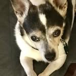 Debra Gusler Herron - @deb176 - Instagram