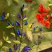 Deborah L. Hershey - Facebook
