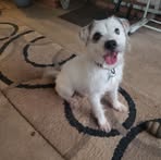Debra Hickman - Facebook