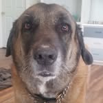 deborah higginbotham - @koray.the.anatolian - Instagram