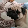debrahigh675 - @debrahigh675 - TikTok