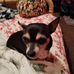 Deborah Hilliard - Facebook