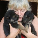 Debra Hilton - @debrajeanhilton - Instagram