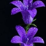 Debra Hilton Fetzer - @southernky86 - Instagram