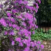Debra Hindley - @debra.hindley - TikTok
