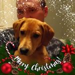 Debra Hinson - @debra.hinson.313 - Instagram
