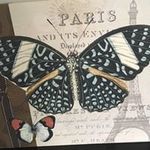 Debra Hinton - @hintondebra - Instagram