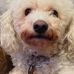 Debra Hirsch - Facebook