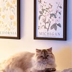 Debra Hirshfield - @dhirshy - Instagram