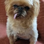Debra Hoag - @hoagdebra - Instagram