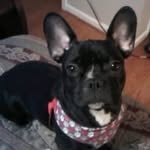 Debra Hoag - @dbysommers - Instagram