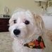 Deborah Hoefling - Facebook