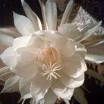 Debra Hoffman - @debrahoffman62 - Instagram