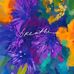 Debra Hamann - Facebook