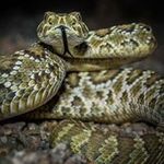 Deborah Hoke - @deborah.hoke.3 - Instagram