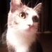 Debra Hoke - Facebook