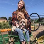 Debra hoke - @hoke6368 - Instagram