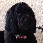 Debra Holderness Newman - @debraholdernessnewman - Instagram