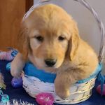 Debra Holz - @debra.holz - Instagram