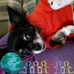 Debra Honaker Hogue - Facebook