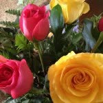 Debra H - @debrahorst - Instagram
