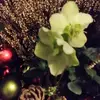 horstlarahildebra - @horstlarahildebra - TikTok