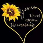 Debra Bass - @debrahoule - Instagram