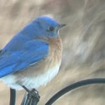 Debra MacKenzie Houle - @debra.houle.1 - Instagram