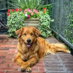 Debra House - @lighthousebuzz - Instagram