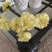 Deborah Hubbell - Facebook