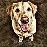 Deb Huckins Rehbein - @debrehbein - Instagram