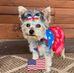 Debra Huffman - Facebook